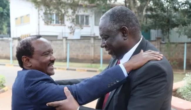 Kalonzo pleads with Sudan to lift ban on Kenyan tea