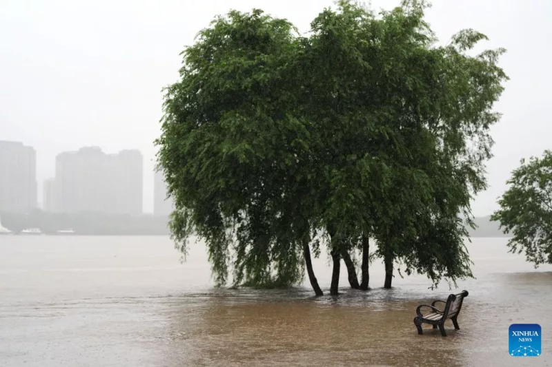 El Niño set to be 'strongest in living memory', says Met Office