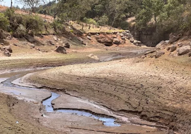Met: Expect dry weather this week