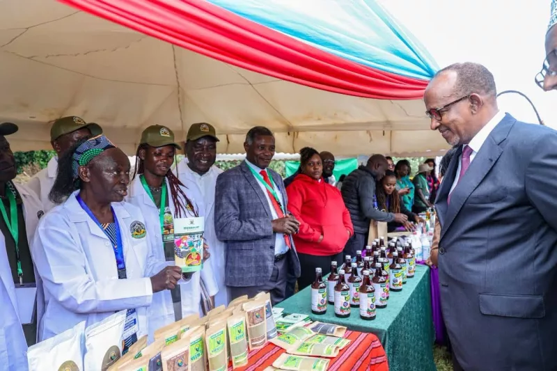 Health CS  Aden Duale  leads other officials in sampling some of the traditional medicines when he presided the 2026 African Traditional Medicine Day celebrations at the Kenya Medical Research Institute (KEMRI).