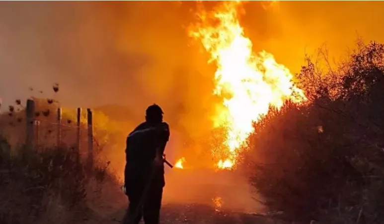 Algeria president seeks death penalty for arsonists after deadly forest fires