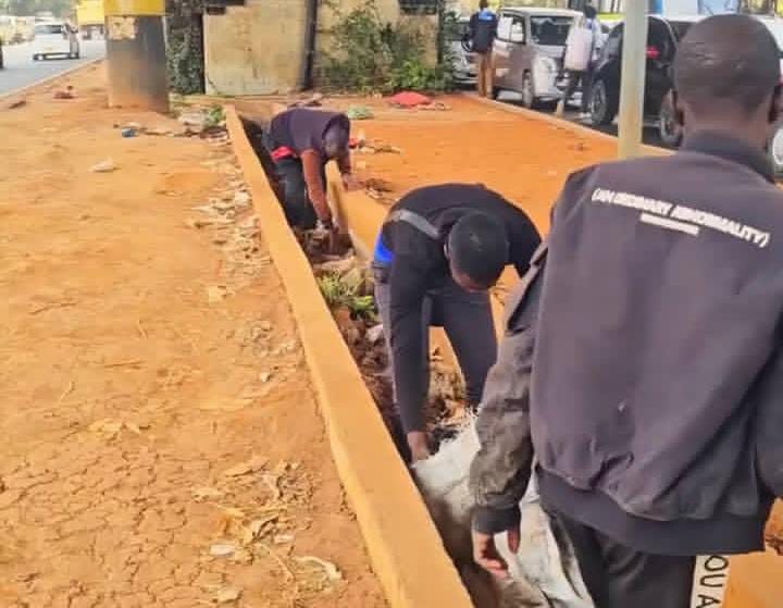 Mosiria makes footbridge skippers pick litter