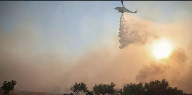 Two helicopters fighting Greece wildfire collide