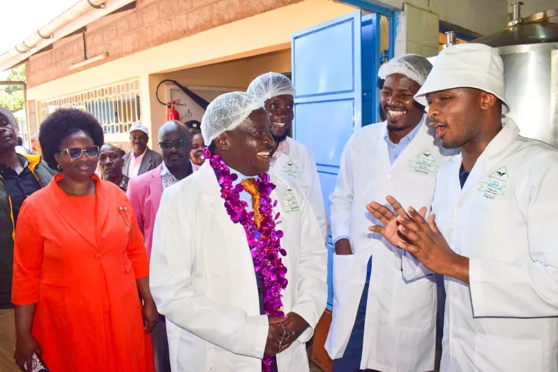 Milk cooler to cut losses, raise earnings for Kirinyaga farmers