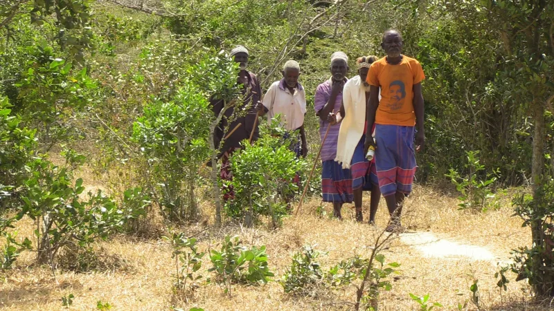 Kaya elders tour the Kaya Fungo in Kaloleni