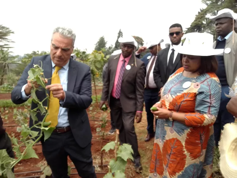 Climate smart agriculture turns dry Mbeere into thriving farms