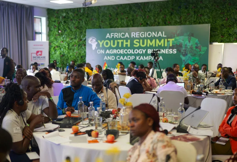 African youths converge to boost agroecology