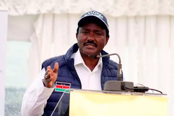 Wiper Party Leader Kalonzo Musyoka