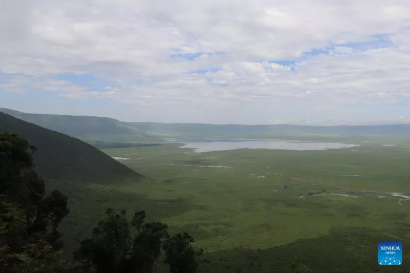 TZ rangers arrested as police probe death in park