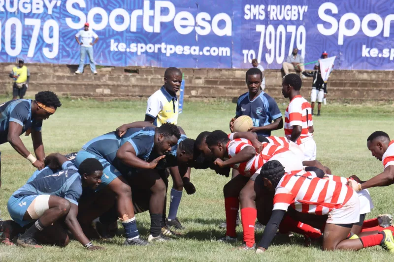 Impala Rfc players pack down in the scrum against Daystar Falcons in a recent Kenya Cup match