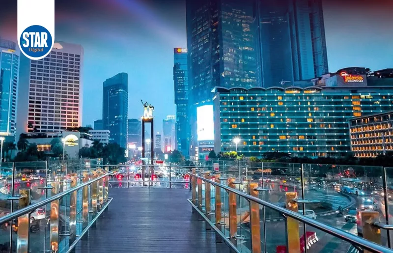 The world's megacities