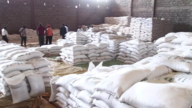 Rice farmers want state to pay Sh210m arrears