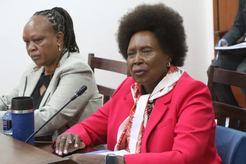 Kenya street population drops by more than half