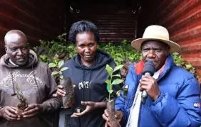 Shortage looms as maize production drops 60 per cent