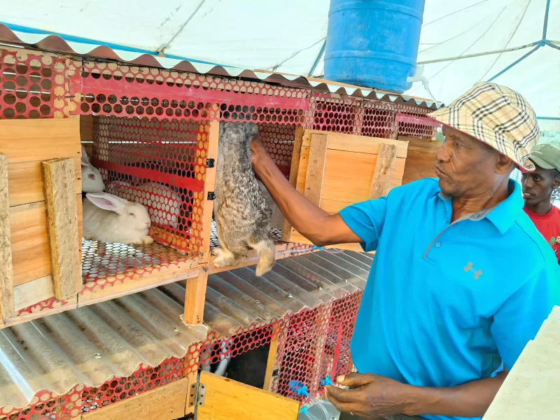 Rabbit farmers decry little government support, want more