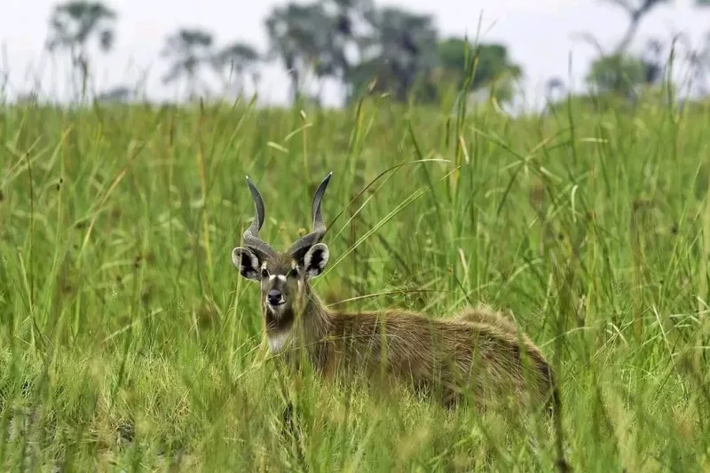 Sh5.3bn project to rescue degraded Nandi wetlands