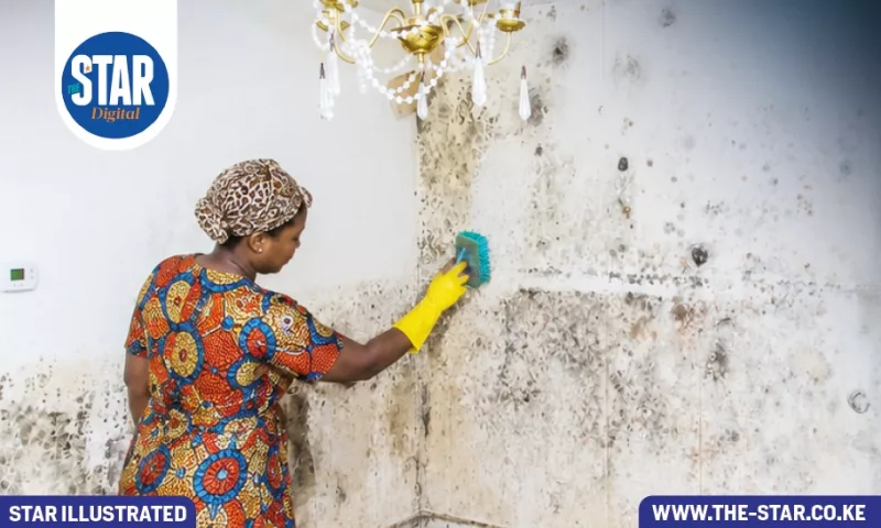 Mould at Home? Ways to Deal with It