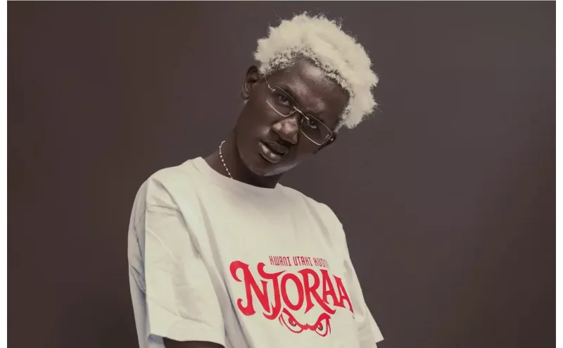 'Njoraa' Video Taken Down From YouTube
