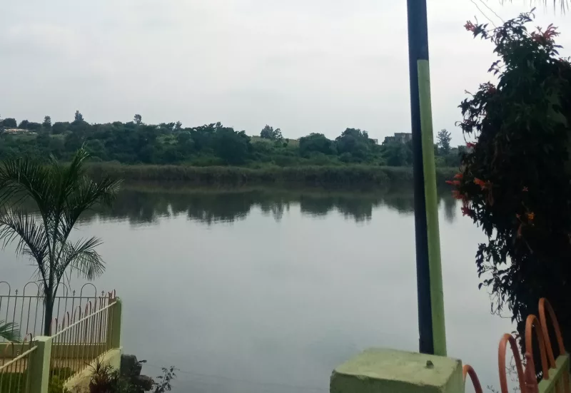 Dam view in Ruiru / MERCY NJOKI