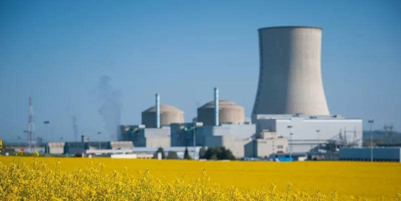 Jellyfish force partial shutdown of French nuclear plant