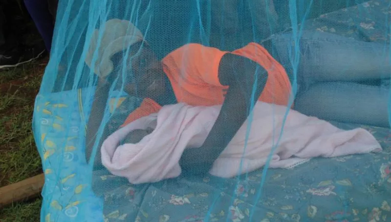 Climate change to fuel malaria surge in Kenya, scientists warn