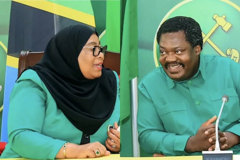 Did stance on Constitution split Nchimbi, Suluhu?