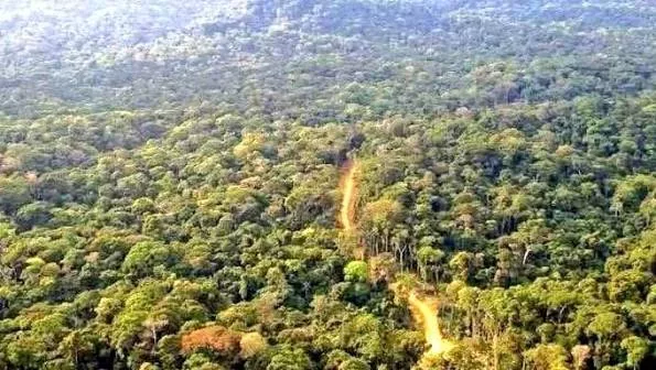 Kaptagat: The fence should protect the forest, not divide its people