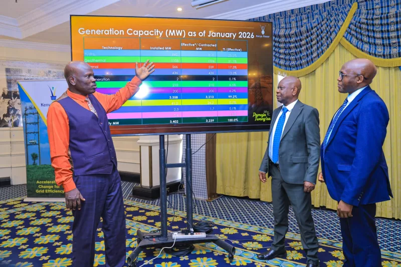 Kenya Power raises alarm over wind and solar boom