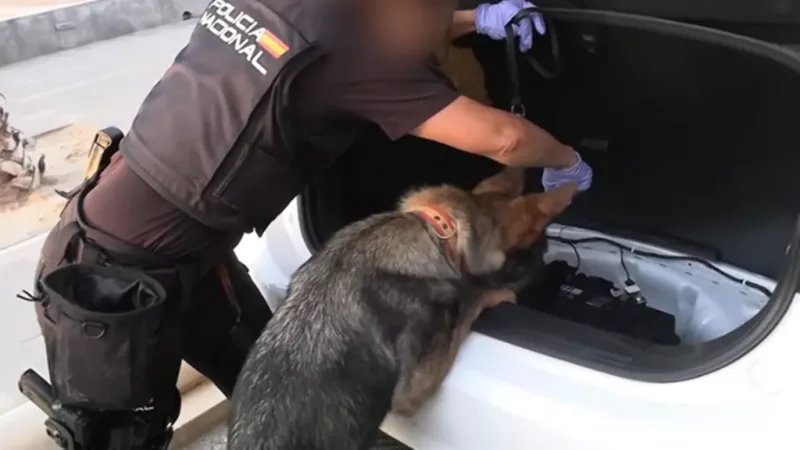 Spanish police arrest 78 in bust of 'one of largest' smuggling networks