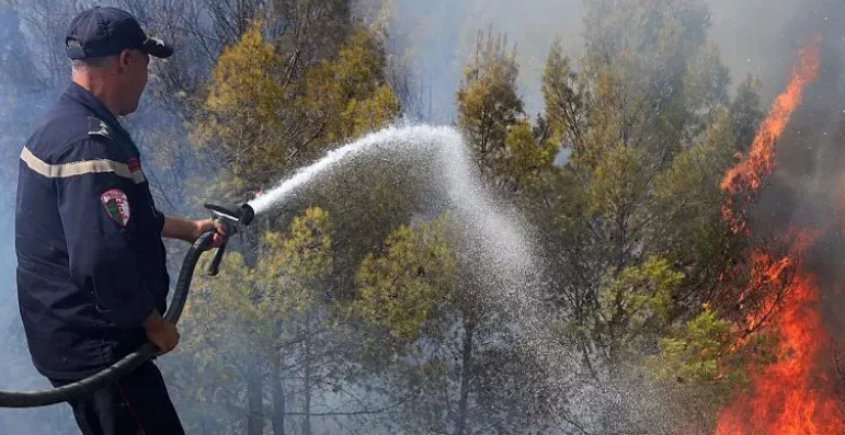 At least 12 dead as wildfires sweep through northern Algeria