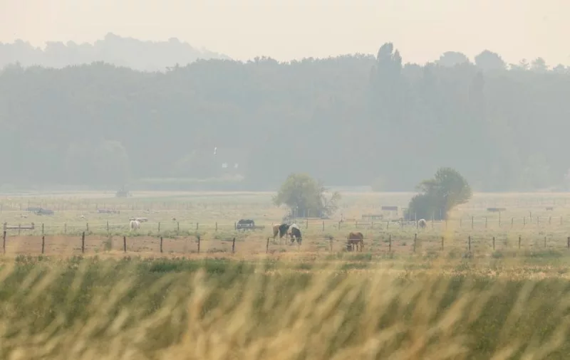 Hundreds arrested over French wildfires