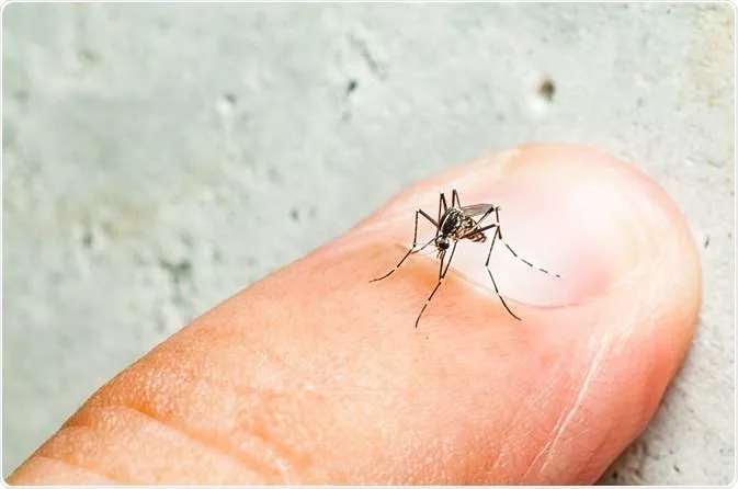 Dengue outbreak now hits Kenya, 5 deaths reported