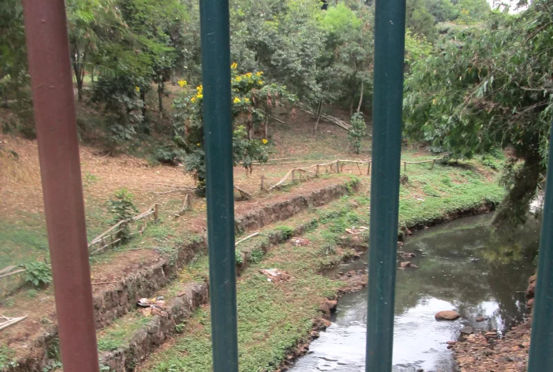 Michuki Memorial Park has shed its murky past to offer an urban retreat