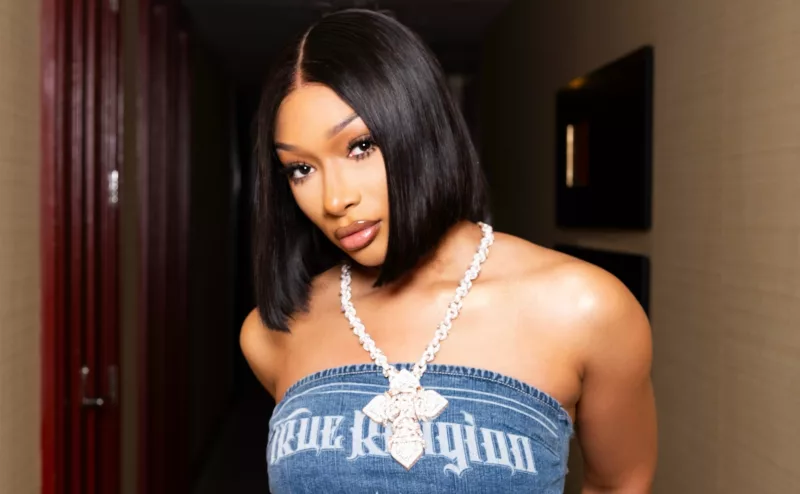 Megan Thee Stallion: Internet Makes Fame Too Easy Today