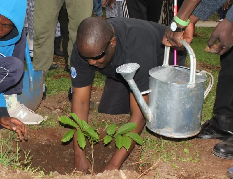 The blind go green to save rare antelopes