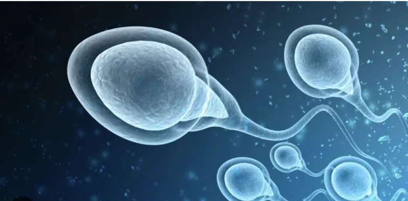 IVF staff accused of misleading parents about sperm, egg donors