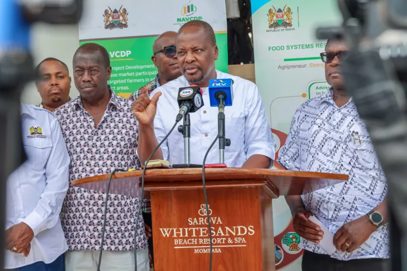 Kenya to import maize as country faces 25 million-bag deficit