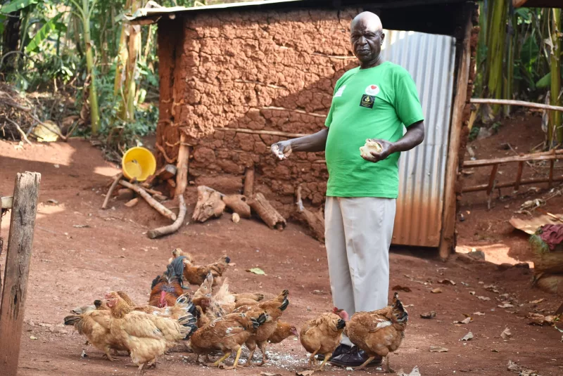 NGO launches poultry project to boost chicken production in Homa Bay