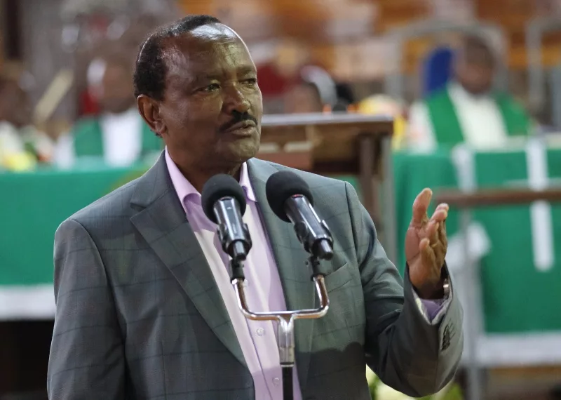 Kalonzo: Uhuru not leading anti-Ruto alliance