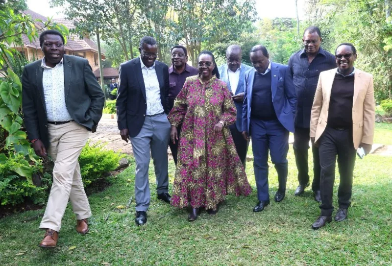 Opposition demands safe campaigns ahead of 2027 election