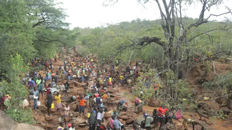 Did a herder's lucky Sh36K nugget spark a gold rush?