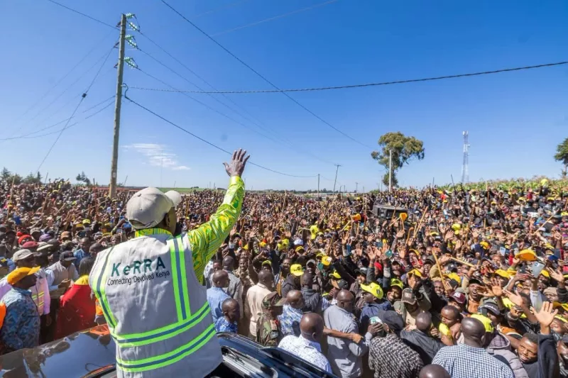 Ruto to rivals: When I start campaigns, you’ll ‘disappear in the grass’