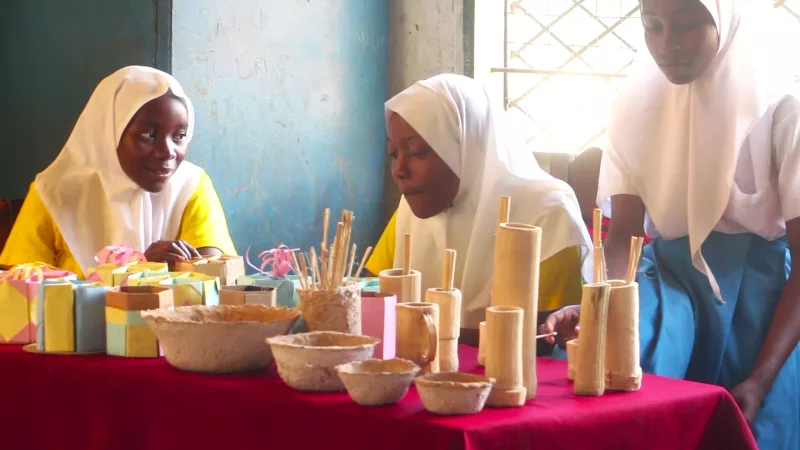 Kwale schools embrace green initiatives in fight against climate change