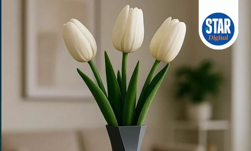 Health benefits of house plants
