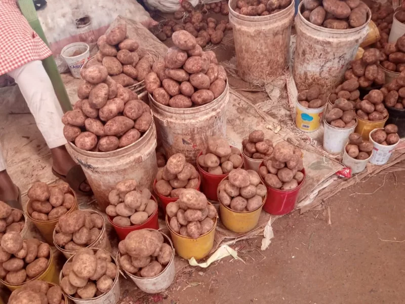 High transport costs drive potato prices higher in Murang’a