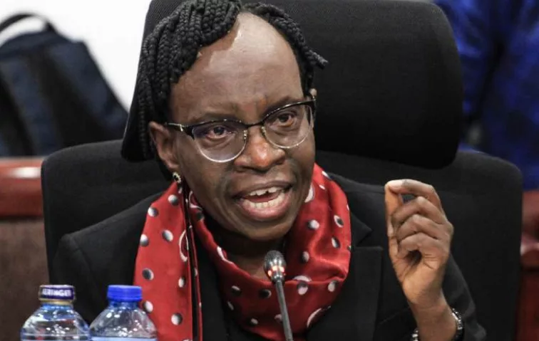 Auditor General Nancy Gathungu appears before the Senate Committee on County Public Investments and Special Funds /HANDOUT