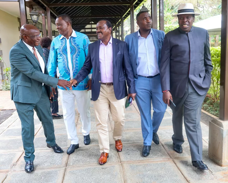 United Opposition principals Omigo Magara, ustin Muturi, Kalonzo Musyoka, DCP  deputy  party leader  Cleophas Malala and DAP-K party leader Eugene Wamalwa