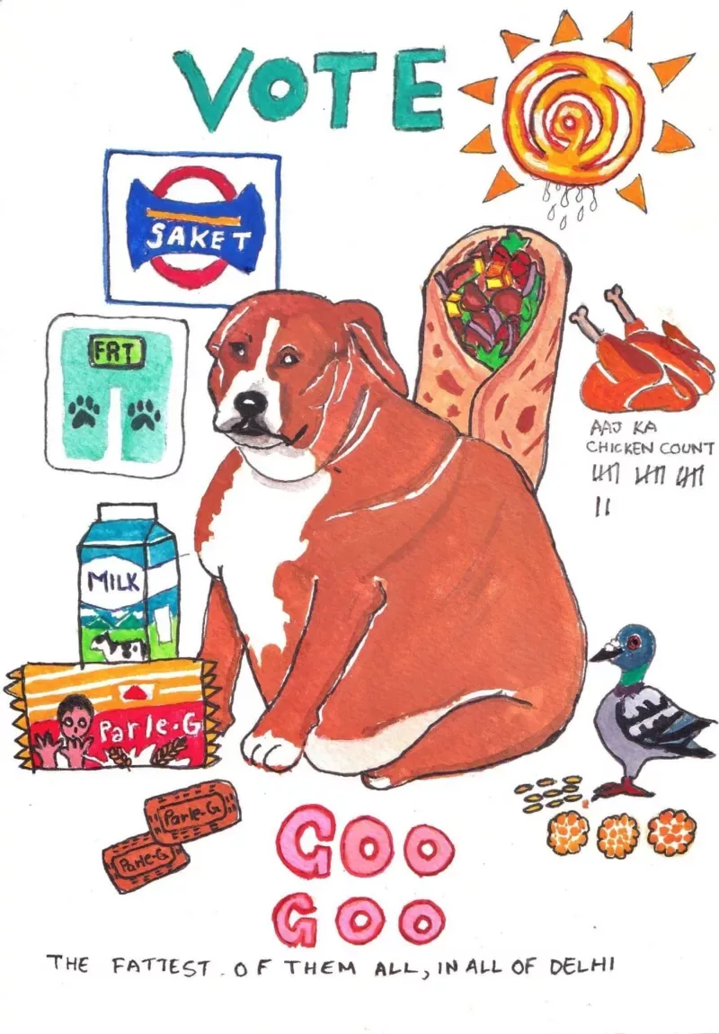 The race to crown the 'fattest dog of Delhi'