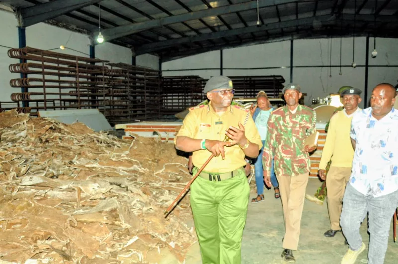 Eastern Regional Commissioner, Jacob Ouma Muganda, leading a team of security officers in inspecting the illegal activities taking place at the shutdown Kithyoko donkey slaughter house.
