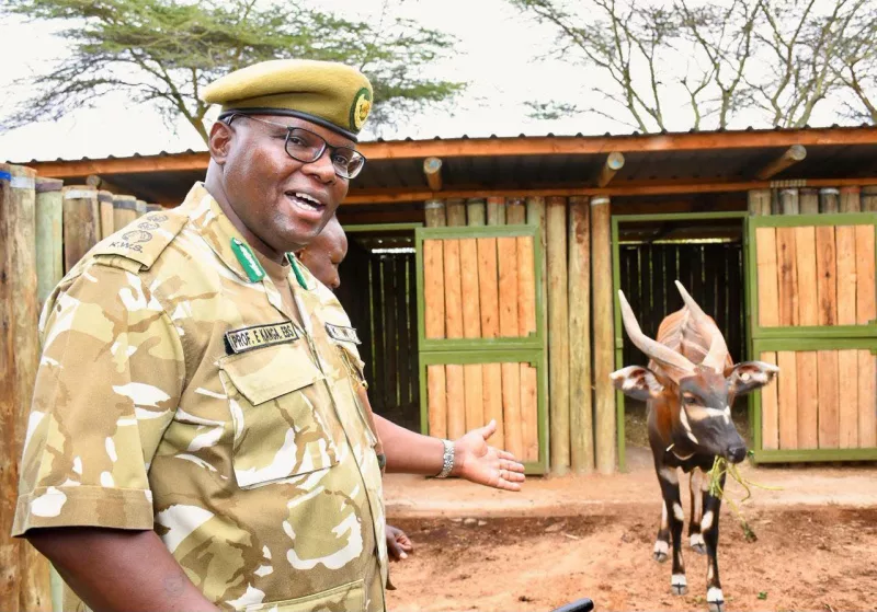 Kenya unveils new plan to save Mountain Bongo